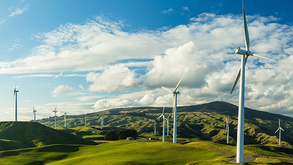 Windkraftanlagen auf einer grünen Freifläche
